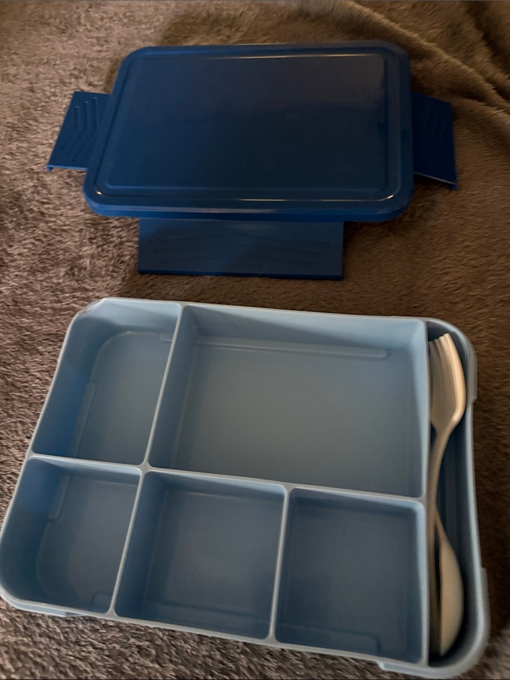 Bento box - Picture 2 of 3
